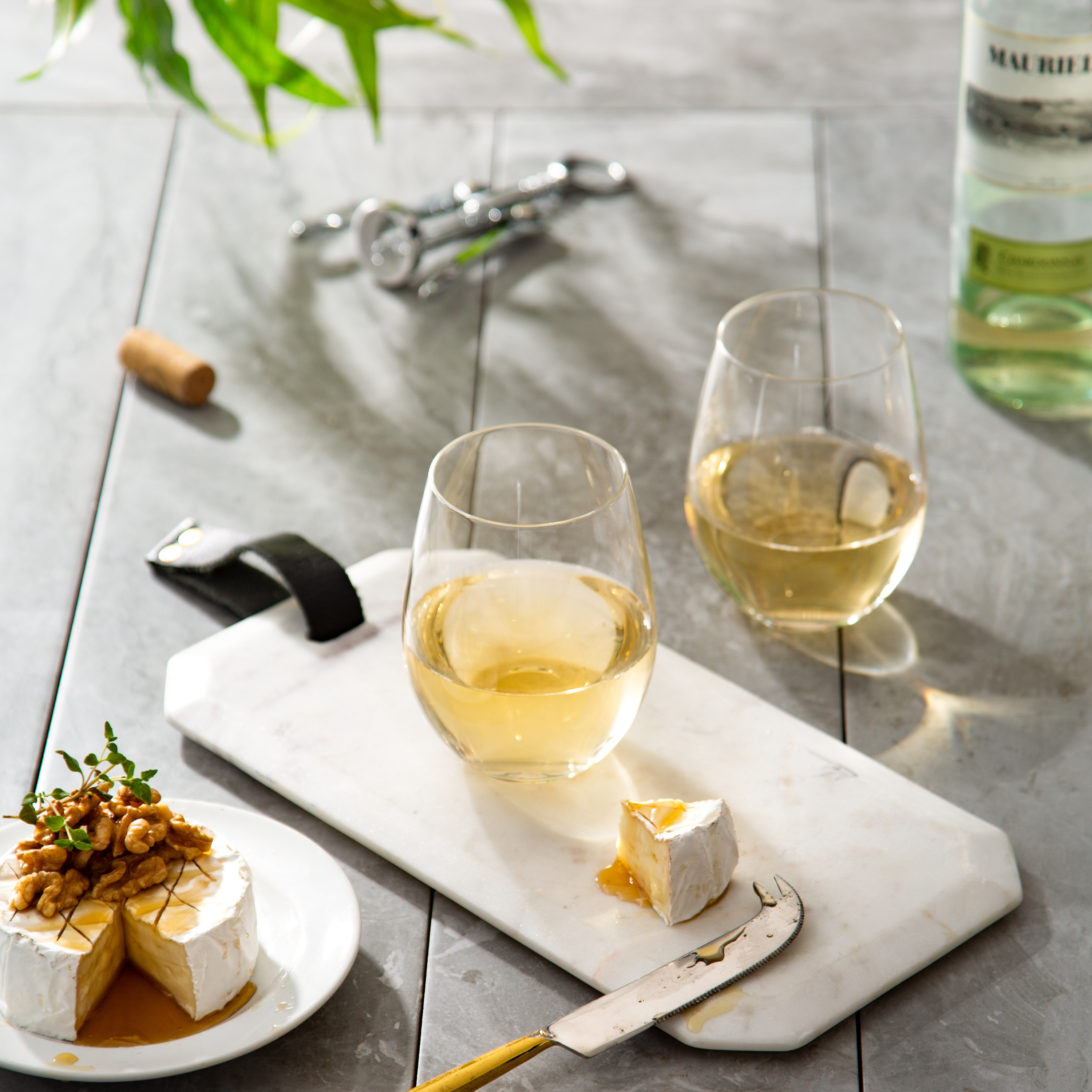 The Great Debate: Stemless or Stem Wine Glasses – What's Best for You?