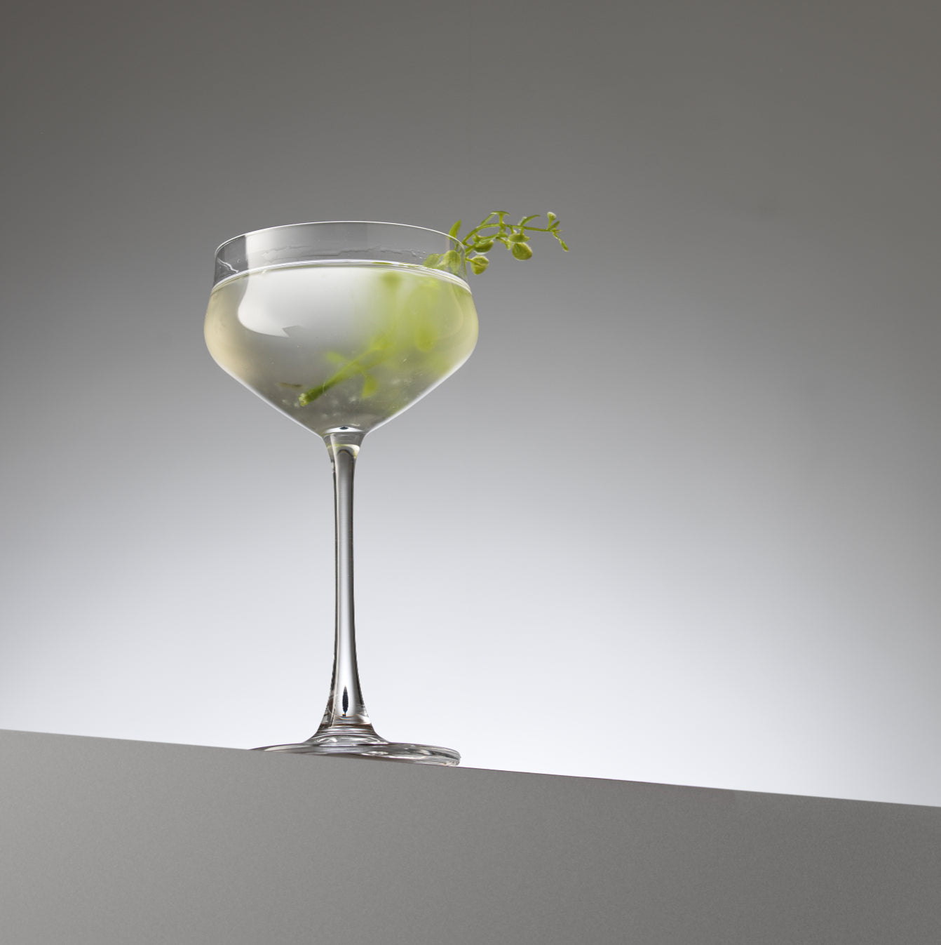 Bloom Coupe Martini Glasses, 9.2 Oz